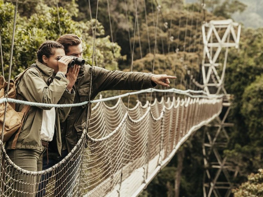 Pasarela del dosel en Nyungwe
