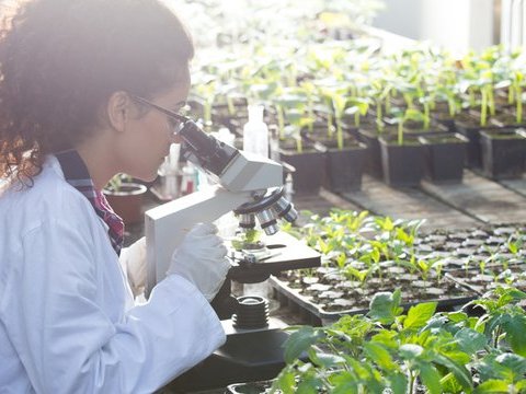 Acceso a investigadores y biólogos