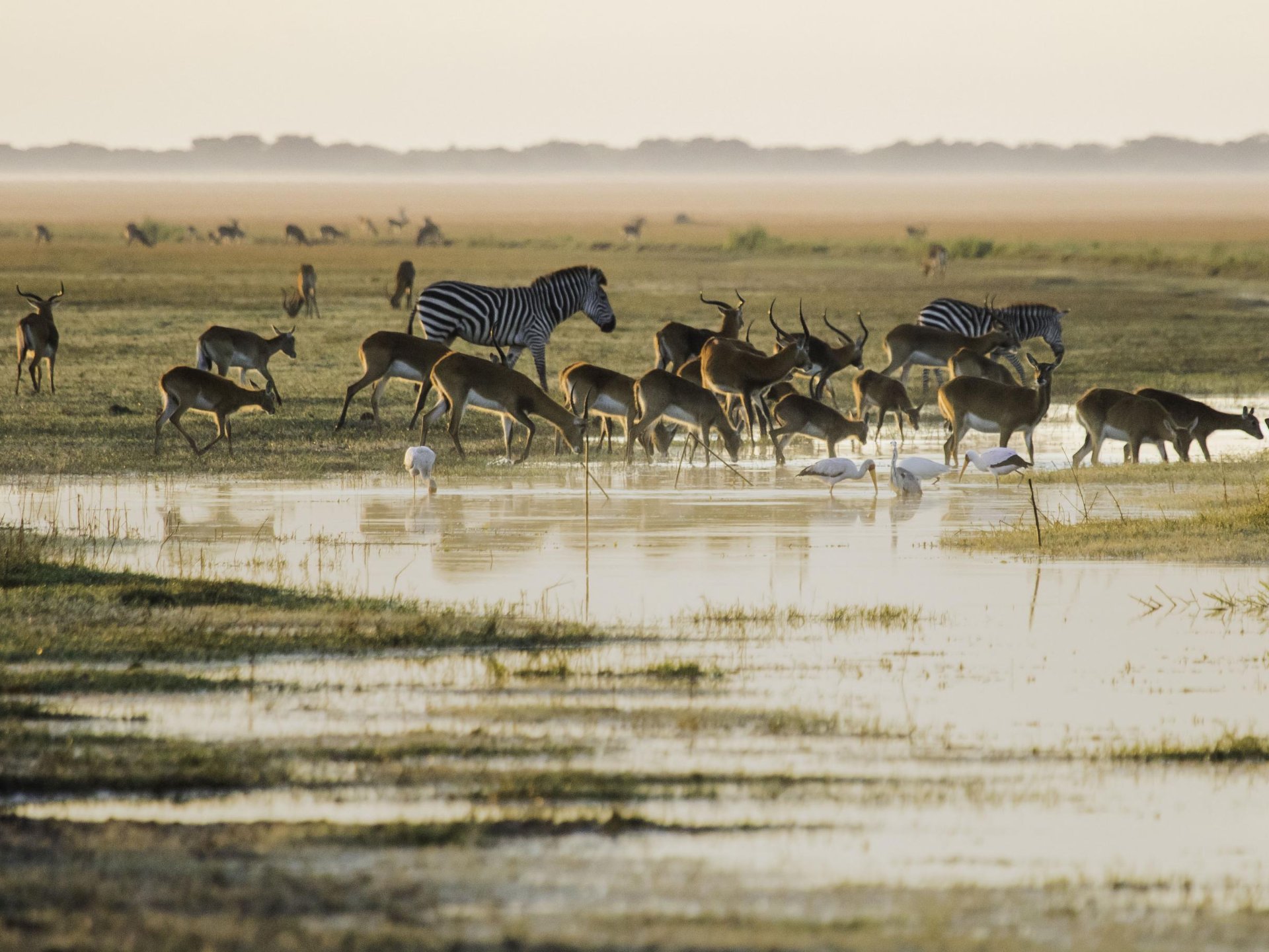 Banweulu Wetlands