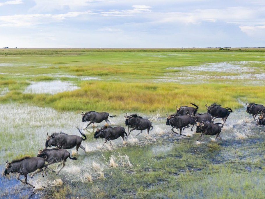 Liuwa Plain National Park