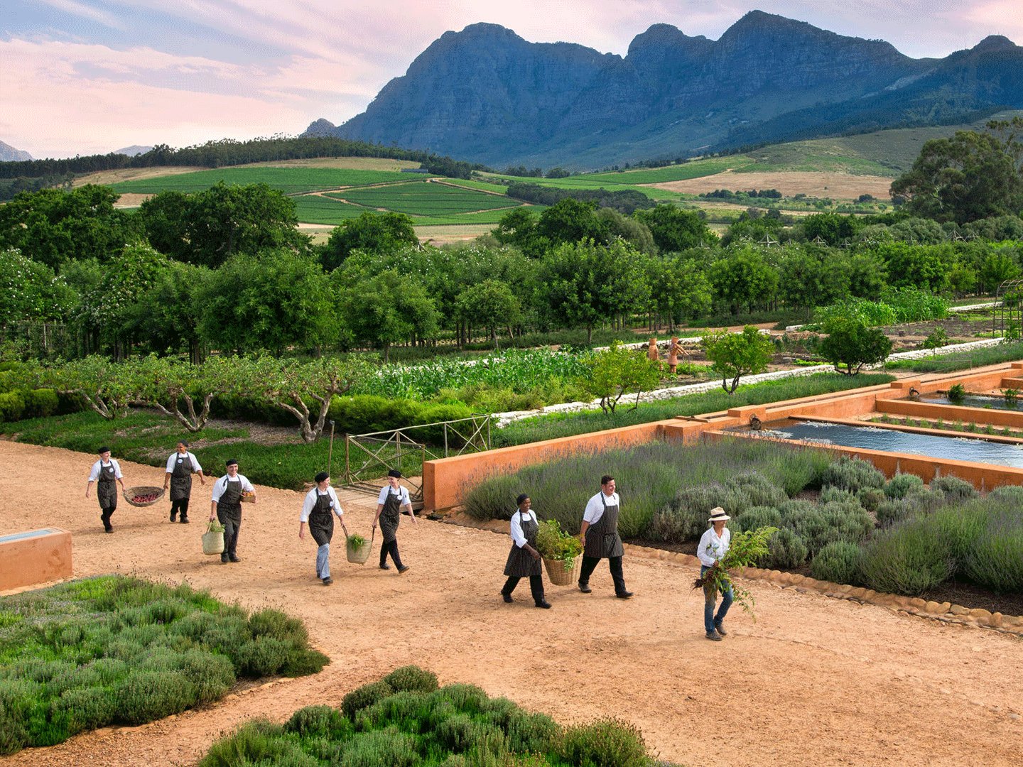 Catas en las Winelands